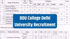 DDU College Delhi University Recruitment 2025